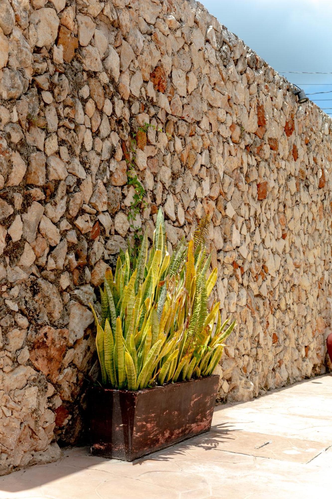 In Wotoch Departamentos Con Estacionamiento Apartment Valladolid  Exterior photo